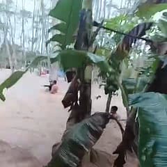 Banjir Rendam Sejumlah Wilayah di Balangan Kalsel, Warga Sungsum Sempat Terjebak WhatsApp Video 2025-12-27 at 15.06.00