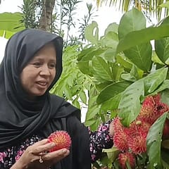 Nikmati Sensasi Buah Musiman Langsung dari Pohonnya WhatsApp Image 2026-01-01 at 21.39.35